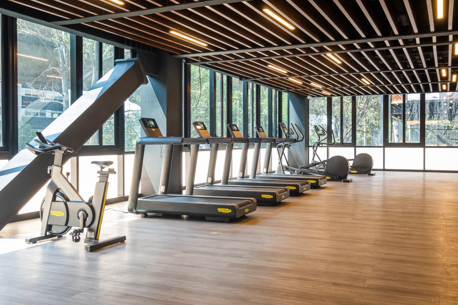 Gimnasio con caminadoras y bicicletas frente a ventanales con vista a los árboles
